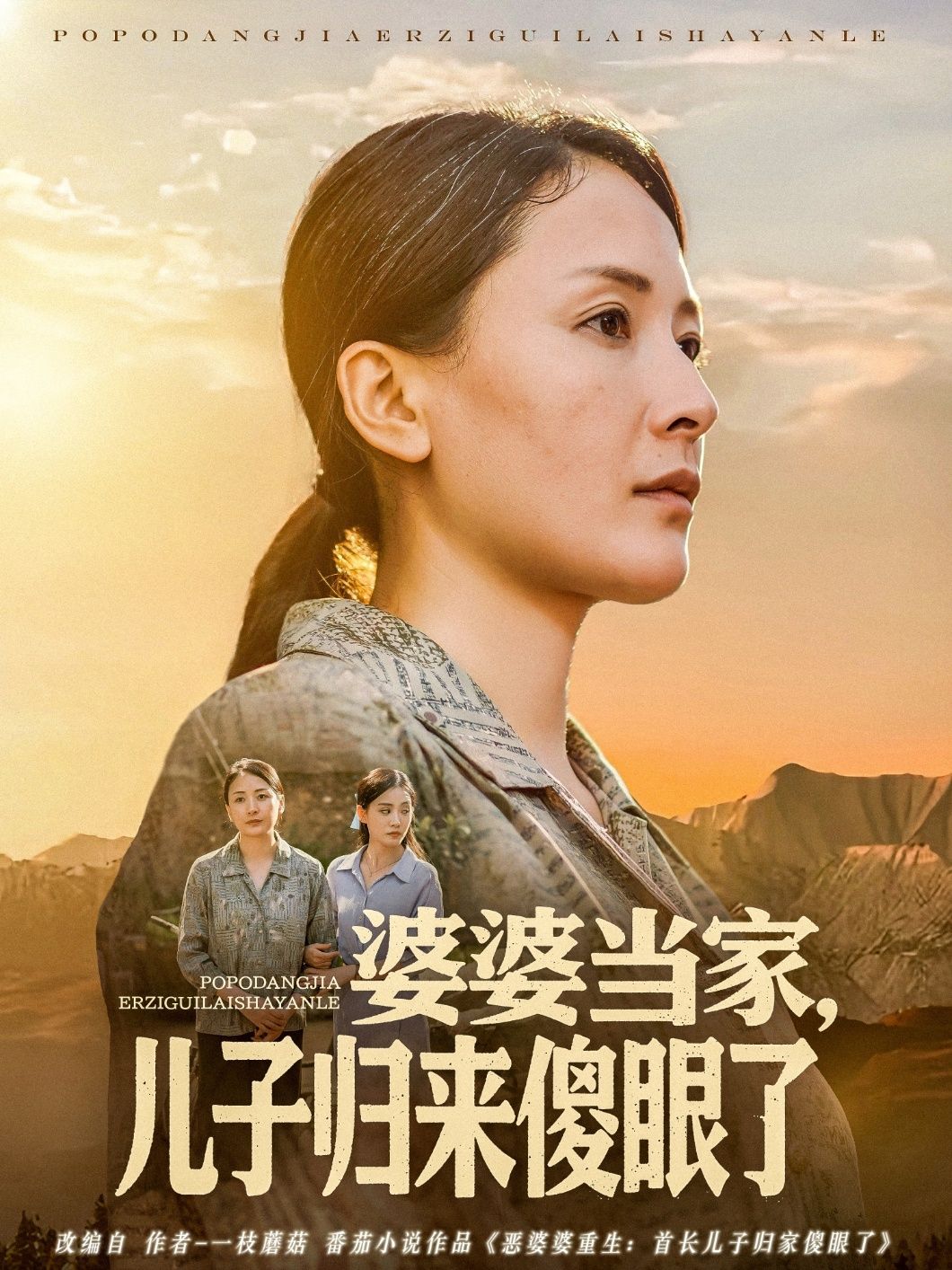 婆婆当家儿子归来傻眼了}