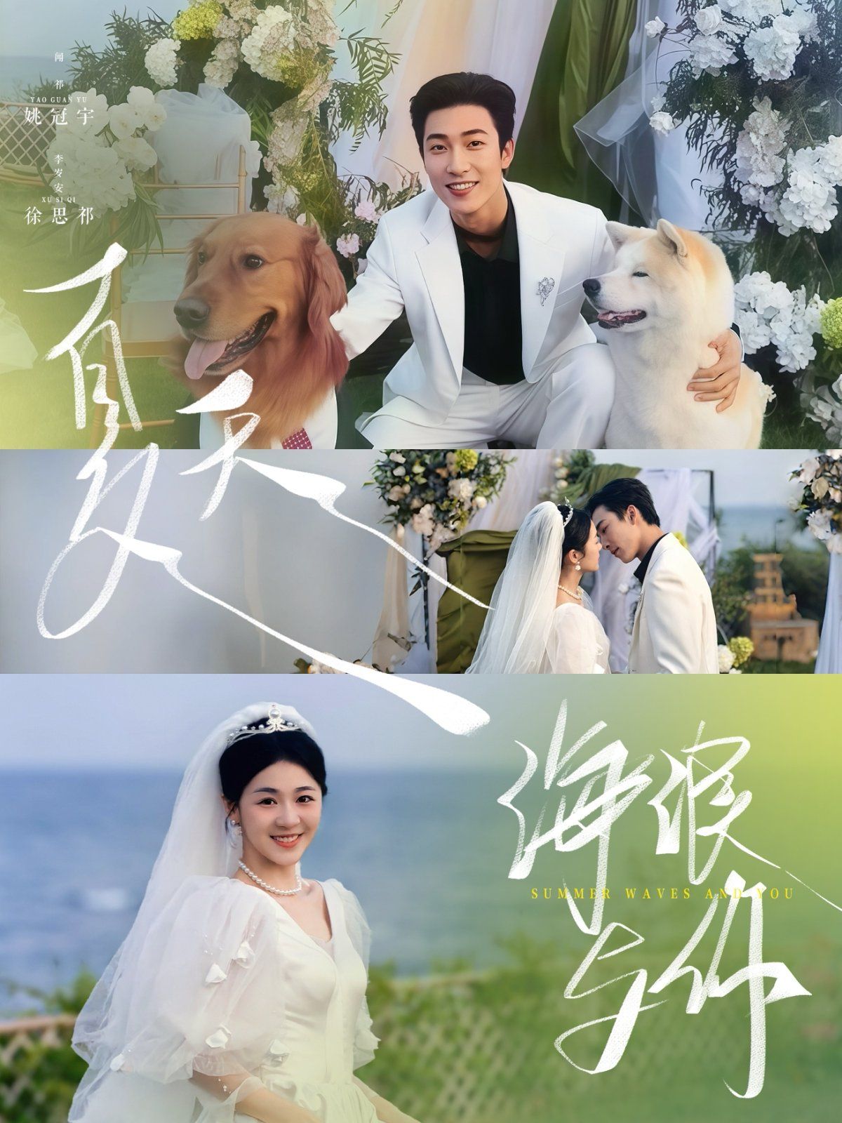 夏天海浪与你}