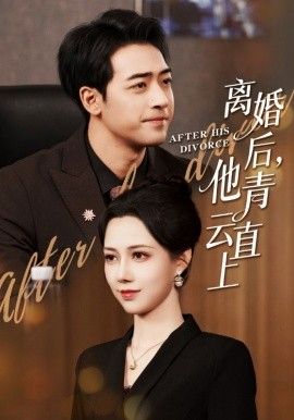 离婚后他青云直上}