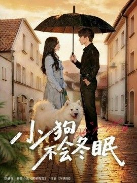 小狗不会冬眠}