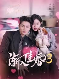 渐入佳婚3第三部}