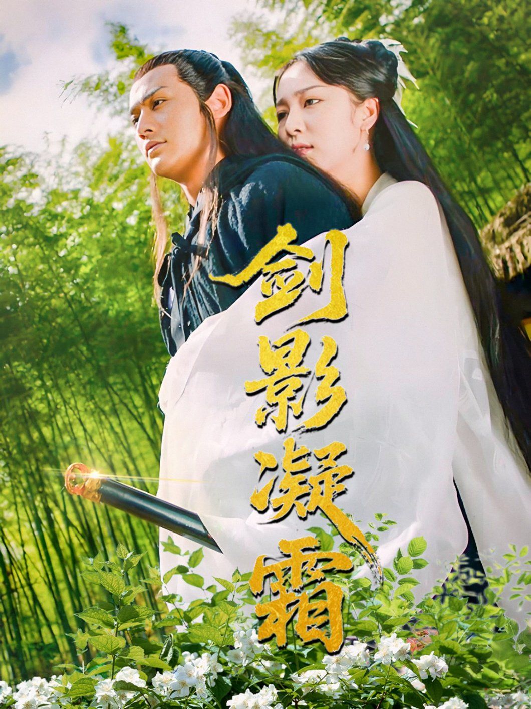剑影凝霜}