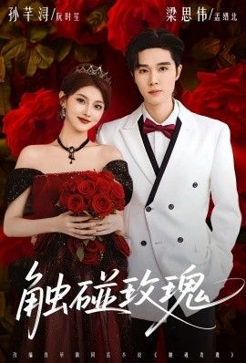 触碰玫瑰（凌晨四点半，玫瑰花未眠）}