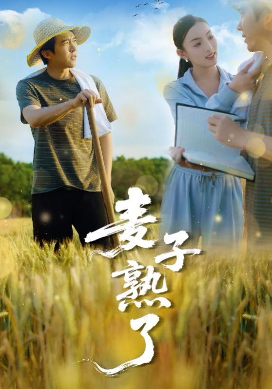 麦子熟了}