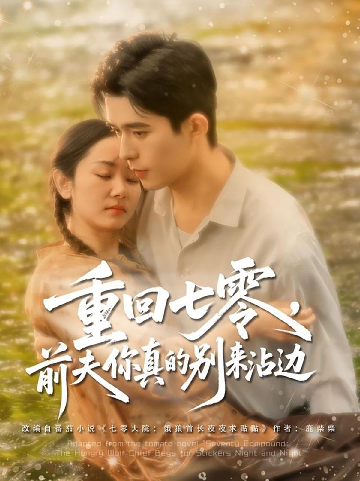 重回七零前夫你真的别来沾边}
