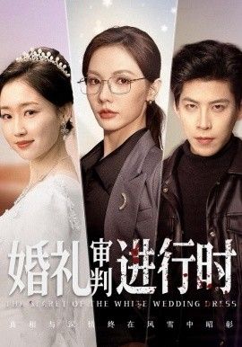 婚礼审判进行时}