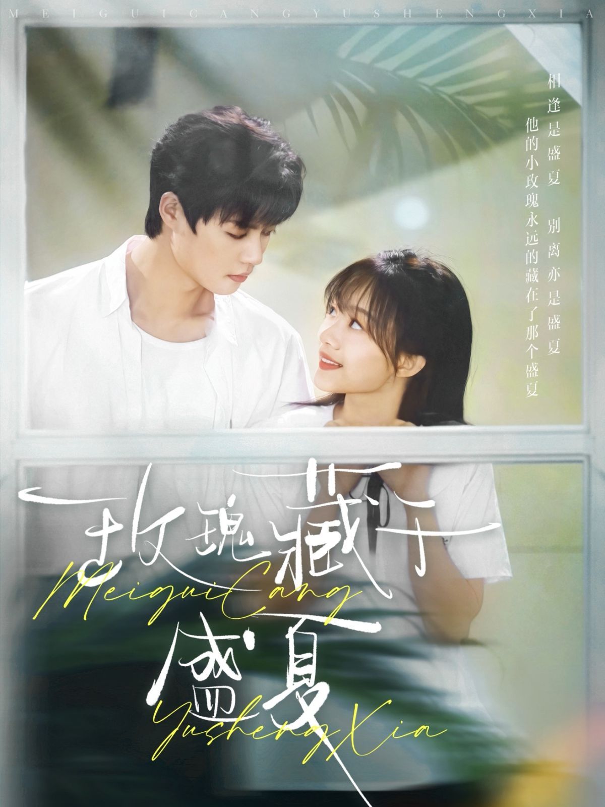 玫瑰藏于盛夏}