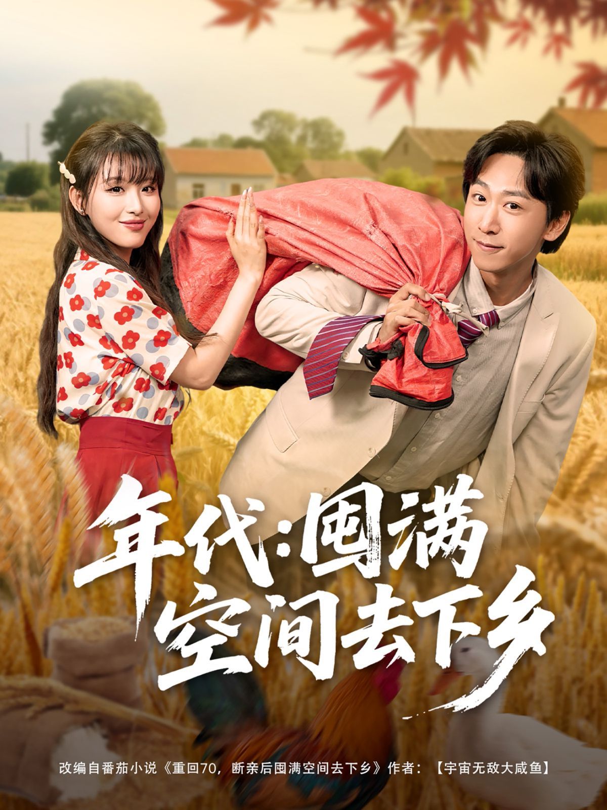 年代囤满空间去下乡}