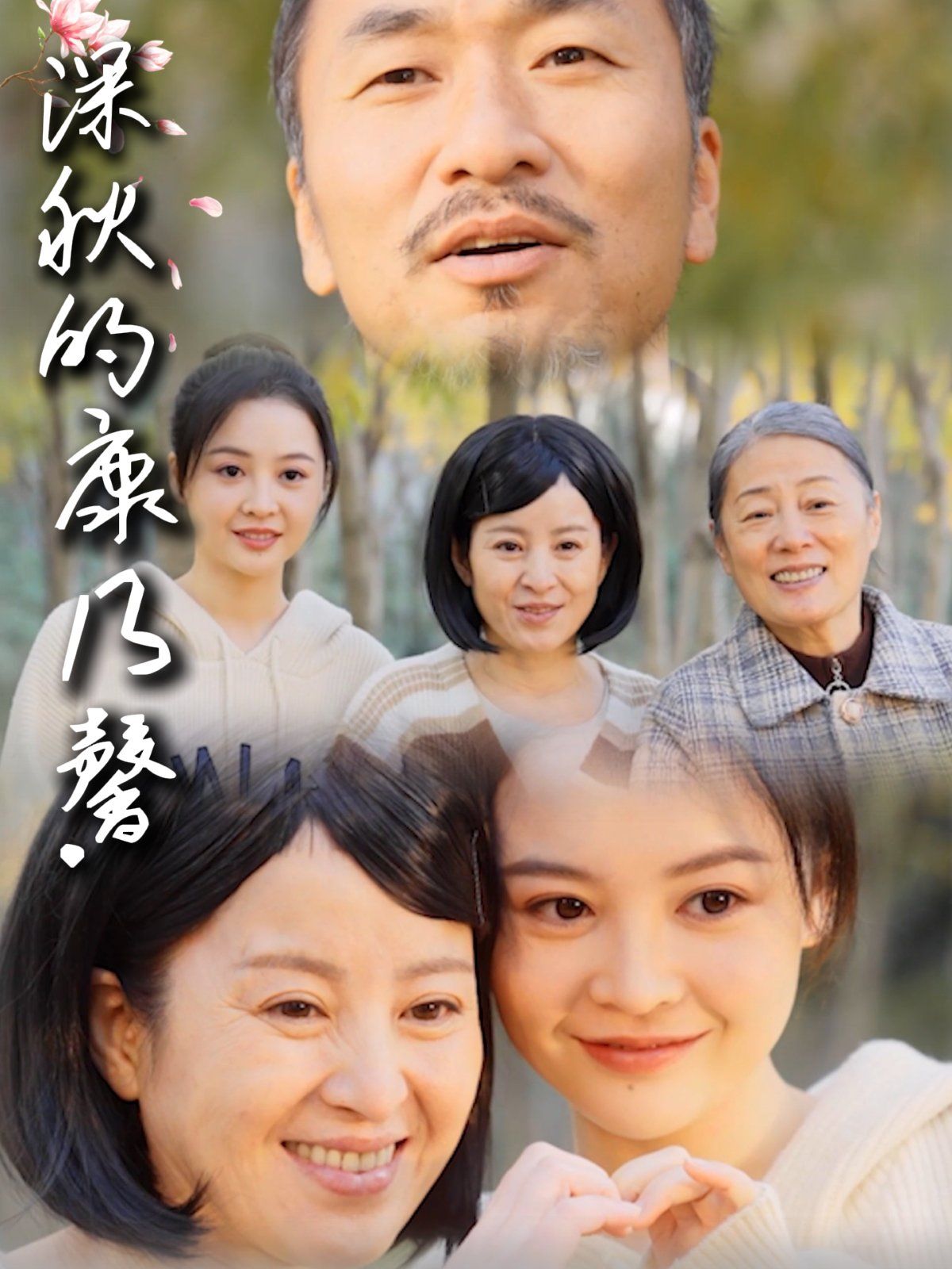 深秋的康乃馨}
