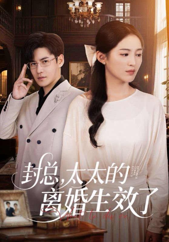 封总太太的离婚生效了}