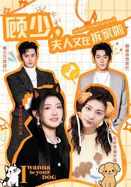 顾少，夫人又在拆家啦}