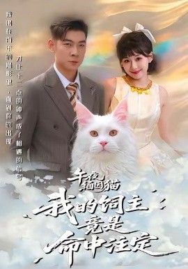 午夜缅因猫我的饲主竟是命中注定}