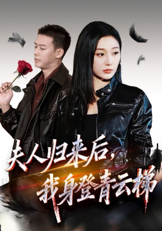 夫人归来后我身登青云梯}