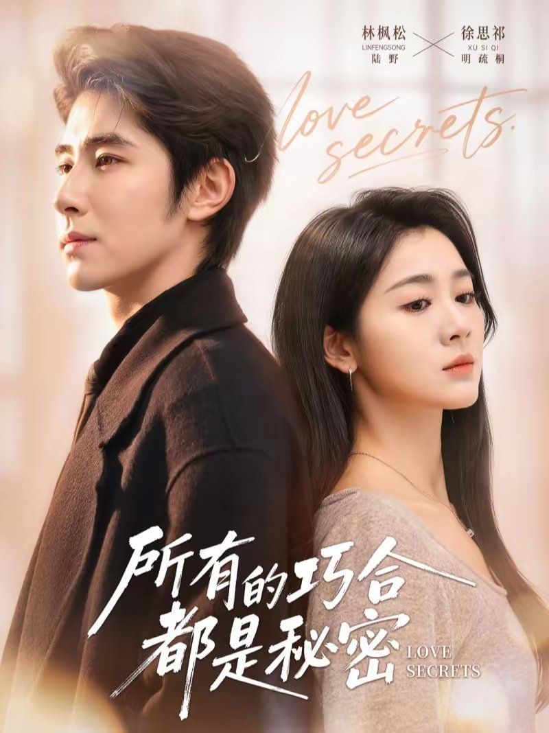 所有的巧合都是秘密（陆总夫人她只想离婚）}