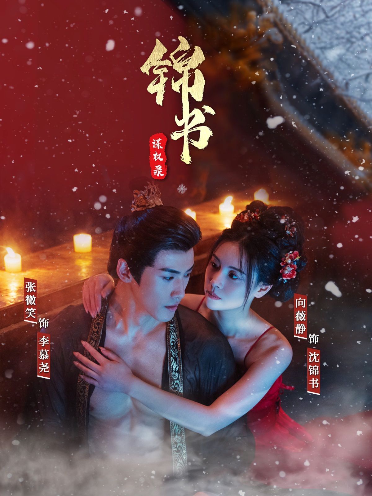 锦书谋权录}