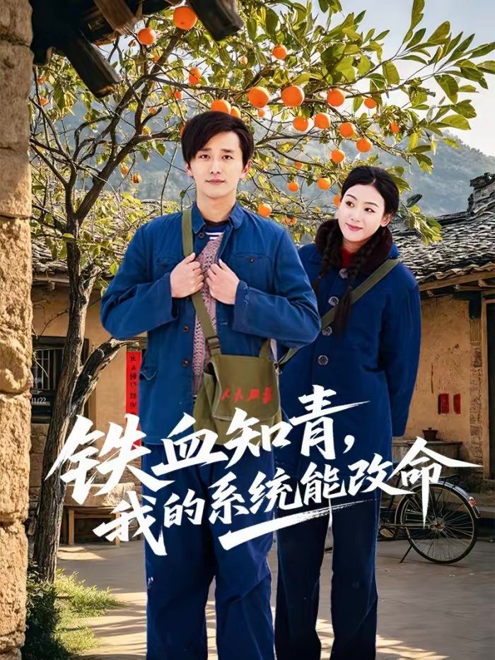 铁血知青，我的系统能改命}