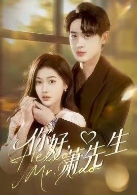 你好，萧先生}