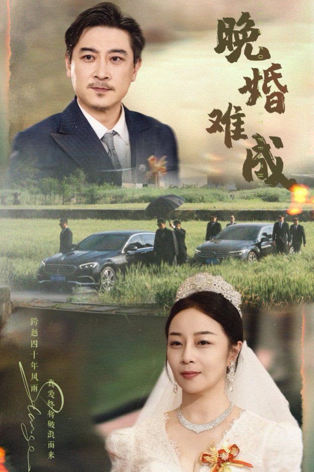 晚婚难成}