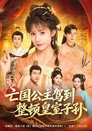 亡国公主驾到，整顿皇室子孙}
