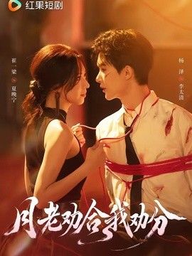 月老劝合我劝分高清播放