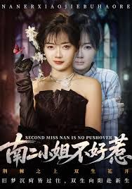 南二小姐不好惹}