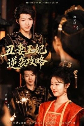 丑妻王妃逆袭攻略}