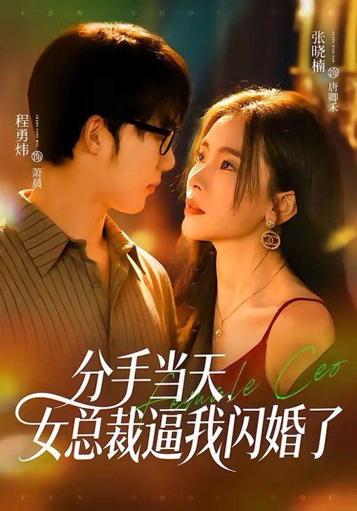 分手当天，女总裁逼我闪婚了}