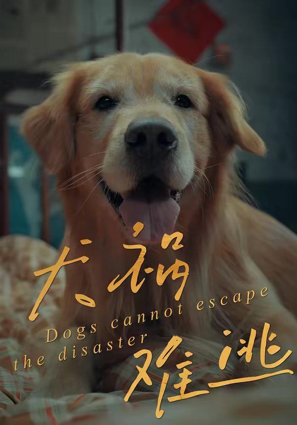 犬祸难逃}