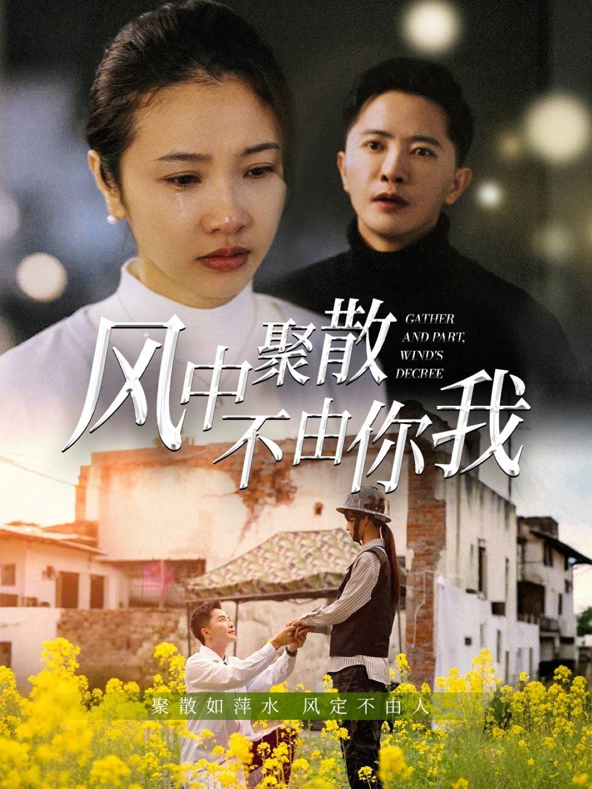 风中聚散不由你我}