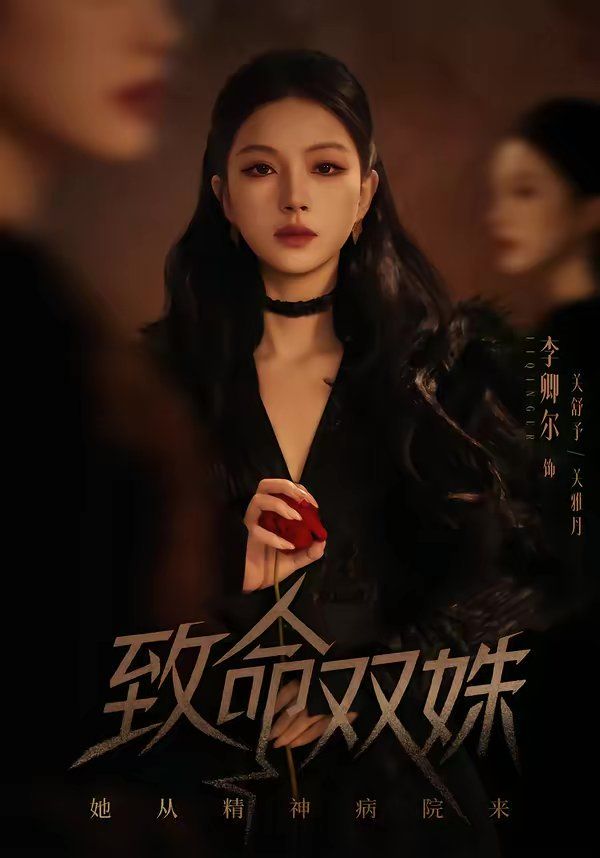 致命双姝：她从精神病院来}
