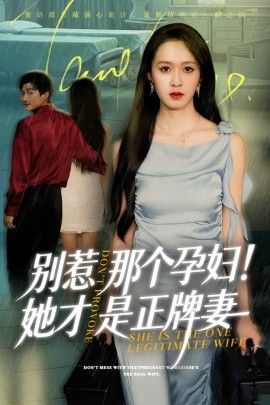 别惹那个孕妇！她才是正牌妻}