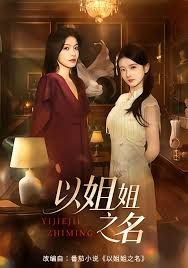 以姐姐之名}