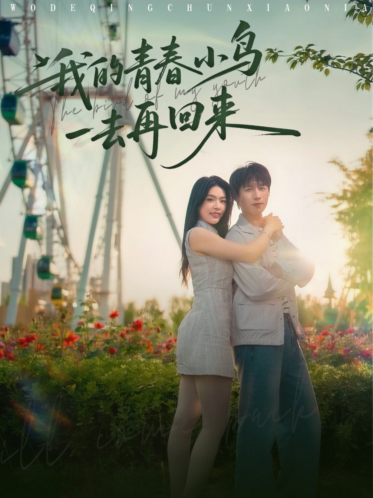 我的青春小鸟一去再回来}