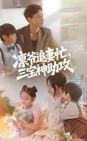 凛爷追妻忙三宝神助攻}